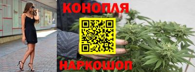 крисы Тверь