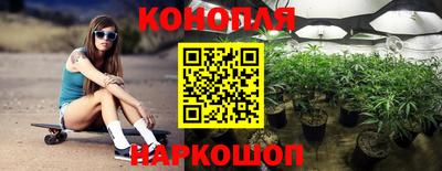гашик Татарск