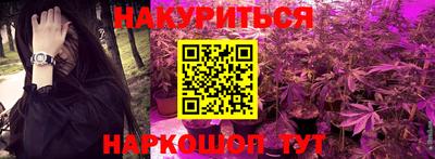 крисы Тверь