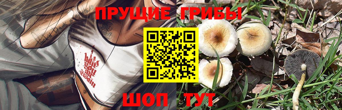 Павлово  Галлюциногенные грибы мухоморы  Вход с VPN 